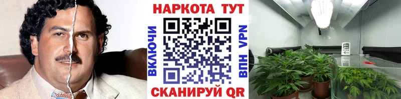 Купить закладку Гашиш  Псилоцибиновые грибы  Мефедрон  МАРИХУАНА  КОКАИН  Пермь