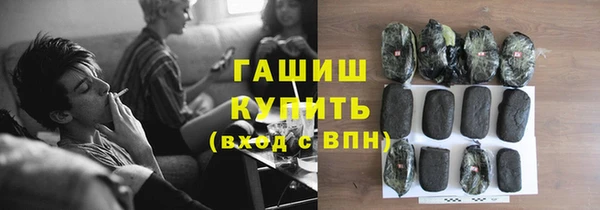 ГАЛЛЮЦИНОГЕННЫЕ ГРИБЫ Гусев