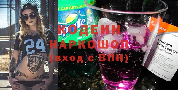 ГАЛЛЮЦИНОГЕННЫЕ ГРИБЫ Гусев