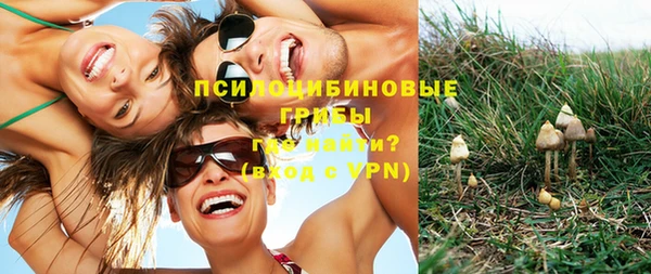 крисы Гусь-Хрустальный