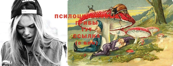 jwh Гусиноозёрск