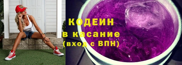 крисы Гусь-Хрустальный