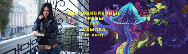 ГАЛЛЮЦИНОГЕННЫЕ ГРИБЫ Гусев