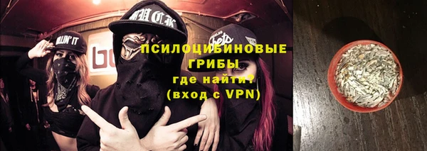 шишки Дмитровск