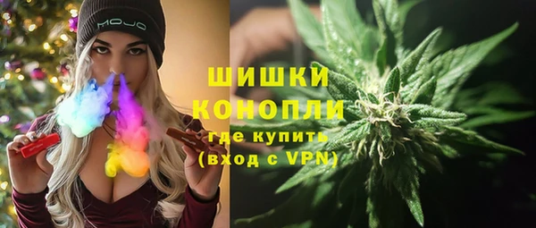 ГАЛЛЮЦИНОГЕННЫЕ ГРИБЫ Гусев