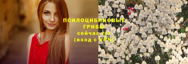 ГАЛЛЮЦИНОГЕННЫЕ ГРИБЫ Гусев