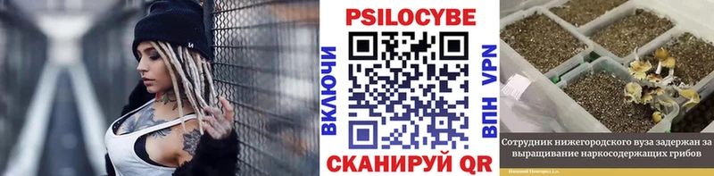 Галлюциногенные грибы MAGIC MUSHROOMS  Купить закладки  Пермь 